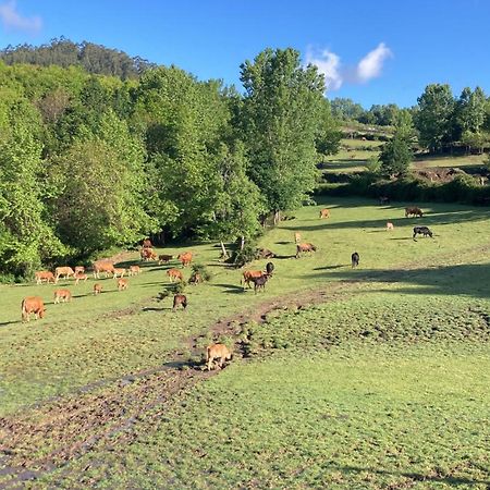 Willa Quinta De Boucas Cabeceiras de Basto Zewnętrze zdjęcie